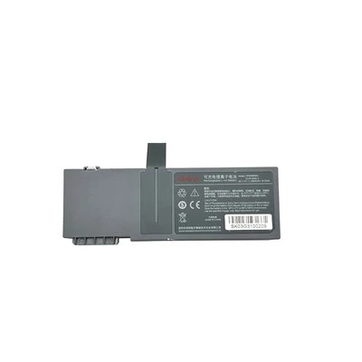 Batteria SK04B9003 21CR19/66-2 VP5 BeneFusion SP5 Mindray per pompa a siringa BeneFusion