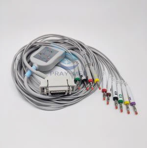 Hellige EKG Cable and Leadwires 10 Leads Banana