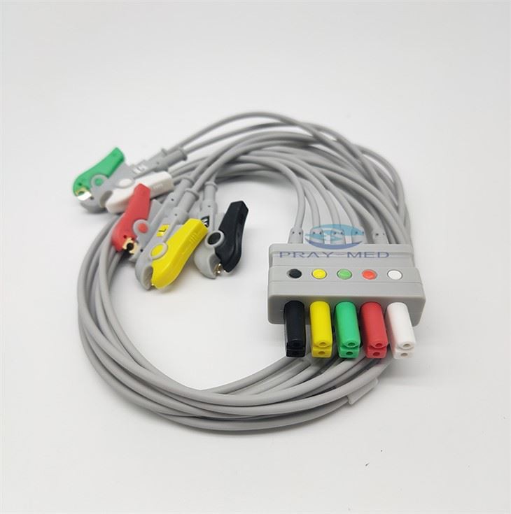 Drager Siemens ECG Leadwire IEC 5 derivazioni